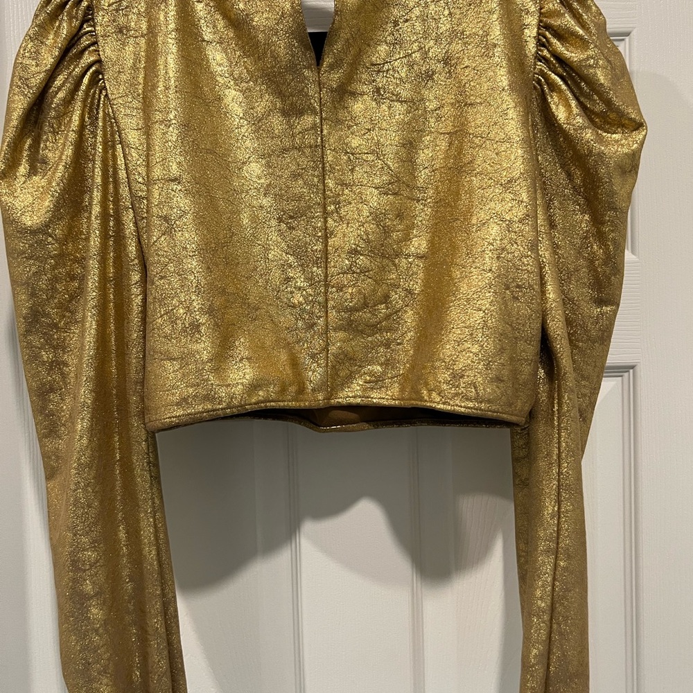 Zara Metallic Cropped Blouse - Picture 3 of 5